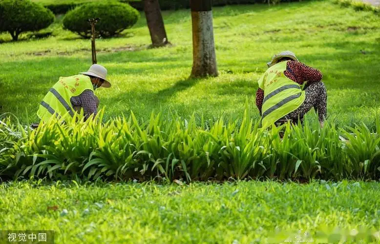 佛山绿化工程概况