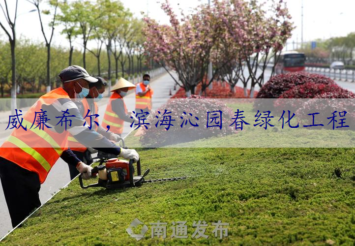 滨海沁园春绿化工程
