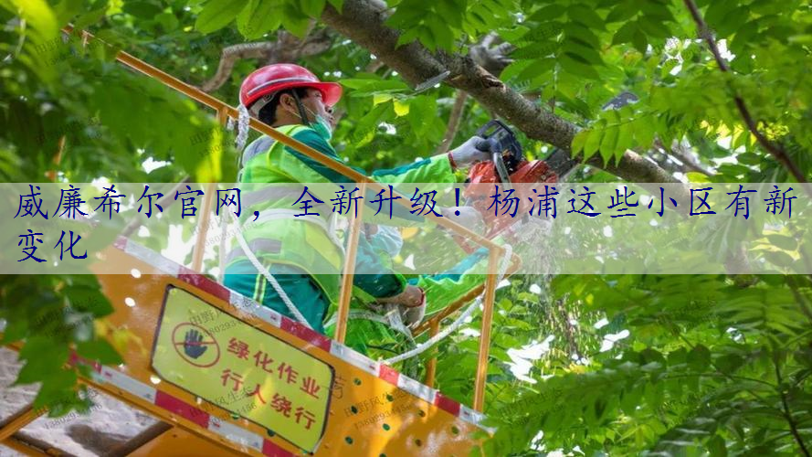 全新升级！杨浦这些小区有新变化